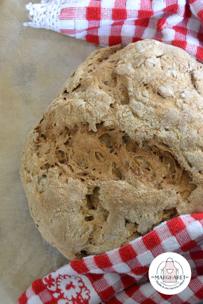 Pane Nero Senza Glutine e Senza Lattosio - PER PRINCIPIANTI! - Ricette di  Cucina